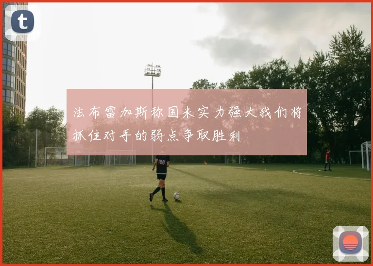法布雷加斯称国米实力强大我们将抓住对手的弱点争取胜利