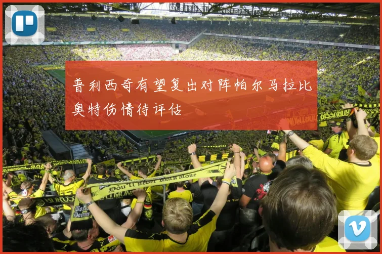 普利西奇有望复出对阵帕尔马拉比奥特伤情待评估