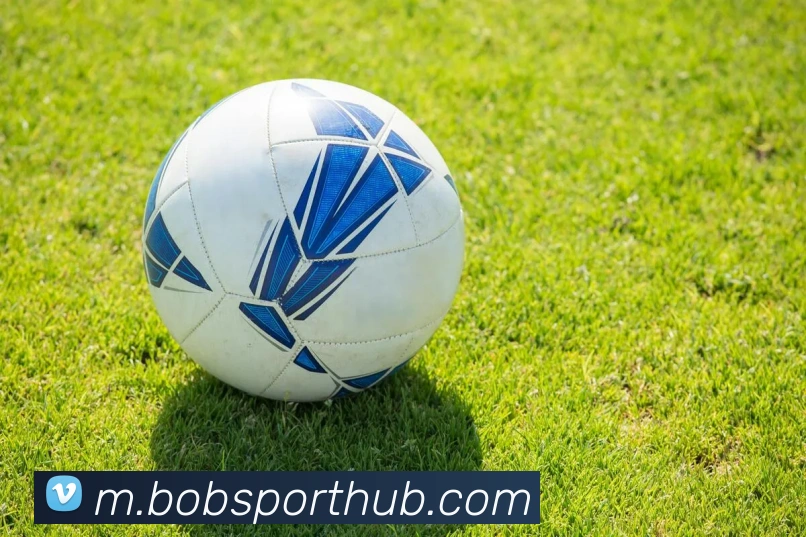 BOB体育APP 封面图